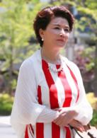 完美婚禮[2015年曾曉欣執導電視劇]