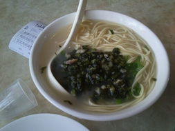 雪菜肉絲湯麵 雪菜肉絲湯麵