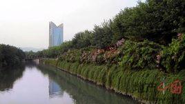 白馬河[山東西南部河流（南四湖水系）]