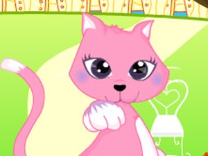 沸騰的小貓咪 沸騰的小貓咪