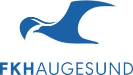 海于格松[挪威足球俱樂部]