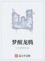 夢醒龍騰 夢醒龍騰