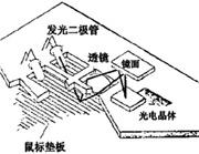 滑鼠[計算機輸入設備]