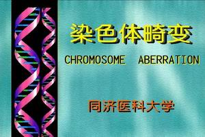 染色體畸變疾病