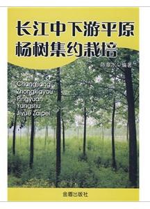 長江中下游平原楊樹集約栽培