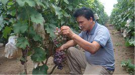 張西堡鎮 張西堡鎮