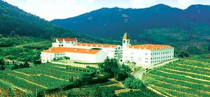 青島華東葡萄釀酒有限公司