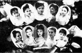 月季花小姐 月季花小姐