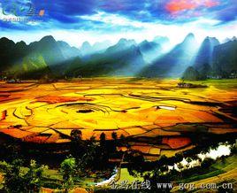 興義八卦田 興義八卦田