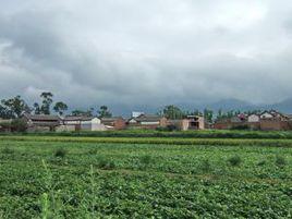 馬莊行政村 馬莊行政村