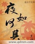 夜如何其 夜如何其