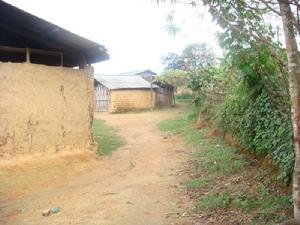 謝里二組自然村 謝里二組自然村