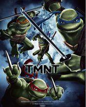 忍者神龜2007海報