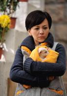 愛的秘笈[2012年李文龍導演電視劇]