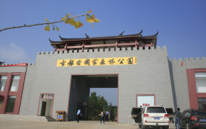 古銀杏國家森林公園 古銀杏國家森林公園