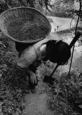 黑鏡頭－時間中國