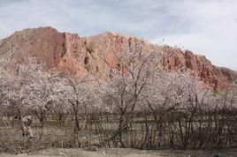 塔什米里克鄉 塔什米里克鄉