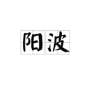 陽波[漢語詞語]
