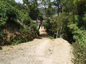 四份地村 四份地村