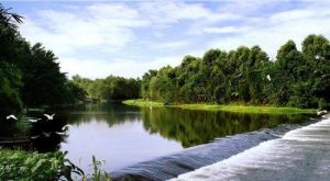 人文生態朴寶園 人文生態朴寶園