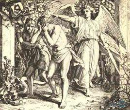 禁果[漢語詞語]