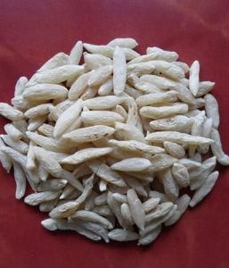 中藥飲片 中藥飲片