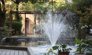 大阪女學院大學 大阪女學院大學