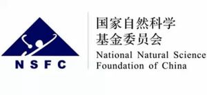 自然科學基金項目 自然科學基金項目