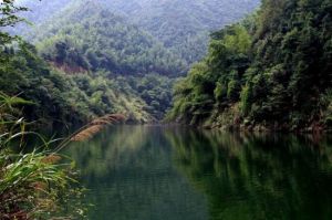 碧湖潭森林公園 碧湖潭森林公園