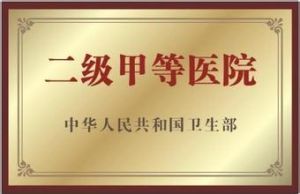 二級甲等醫院 二級甲等醫院
