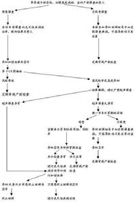 羊膜腔感染綜合徵