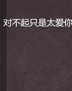 對不起只是太愛你 對不起只是太愛你