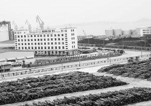 秀嶼港進口木材檢疫除害處理區