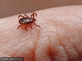 單刺激源實驗 單刺激源實驗