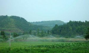 科學灌溉 科學灌溉