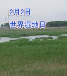 世界濕地日