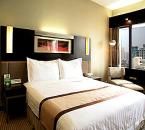 廣州花園大酒店 廣州花園大酒店