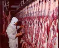 沙參燉肉 沙參燉肉