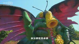 憂傷怨蝶 憂傷怨蝶