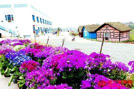 樂天花谷 樂天花谷