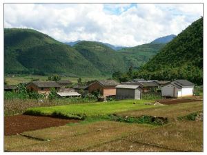 海頭七組村 海頭七組村