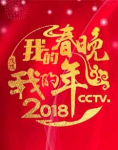 我的春晚我的年 我的春晚我的年