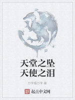 天堂之墜天使之淚 天堂之墜天使之淚