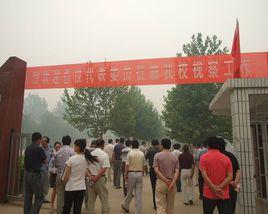 張莊鎮[河南省鄭州市中牟縣張莊鎮]