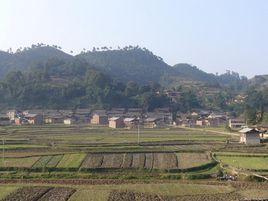 石汪村[雲南省文山州丘北縣官寨鄉石汪村]