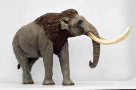 草原猛獁象 草原猛獁象