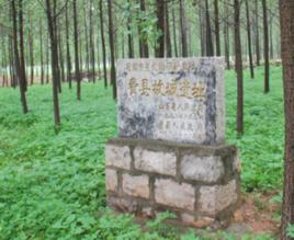 費縣故城遺址 費縣故城遺址