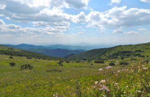 遼河源國家森林公園
