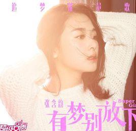 有夢別放下 有夢別放下