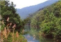 九龍江原始次森林